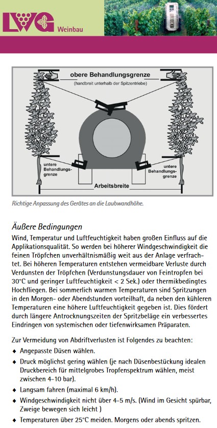 Rebschutz