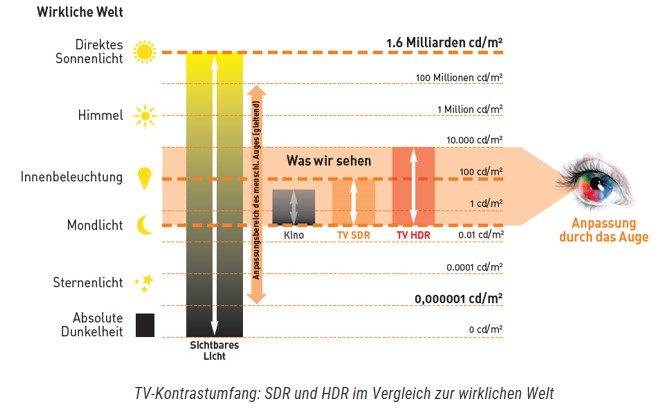 Was wir sehen