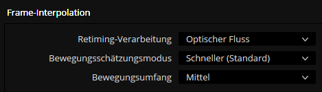 Frame Interpolation in Projekteinstellung