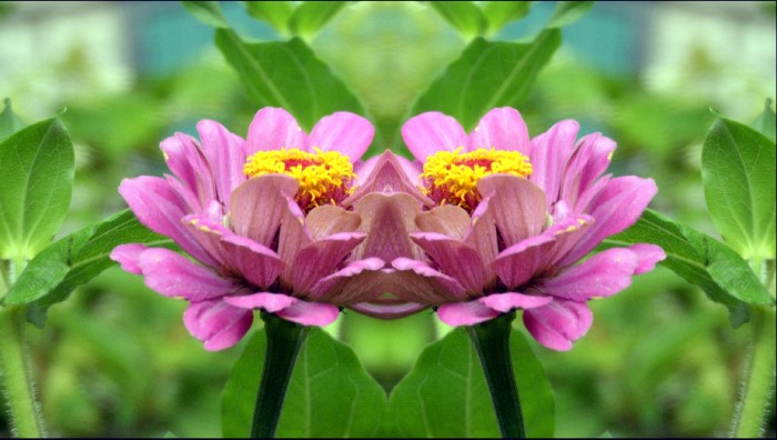 Mirrors