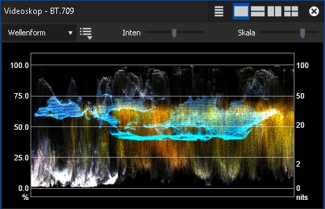 EDIUS-Videoscope