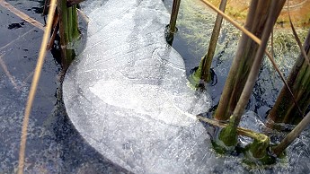 Eis im Fischteich