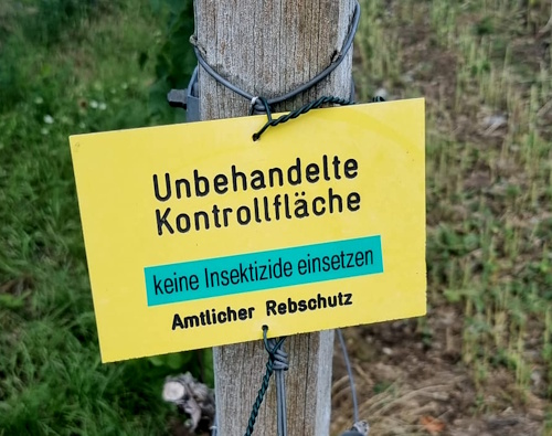 Ohne Insektizide