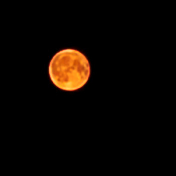 Erdbeermond