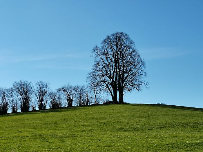 Hopfensee