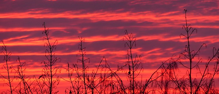 Januar-Himmel