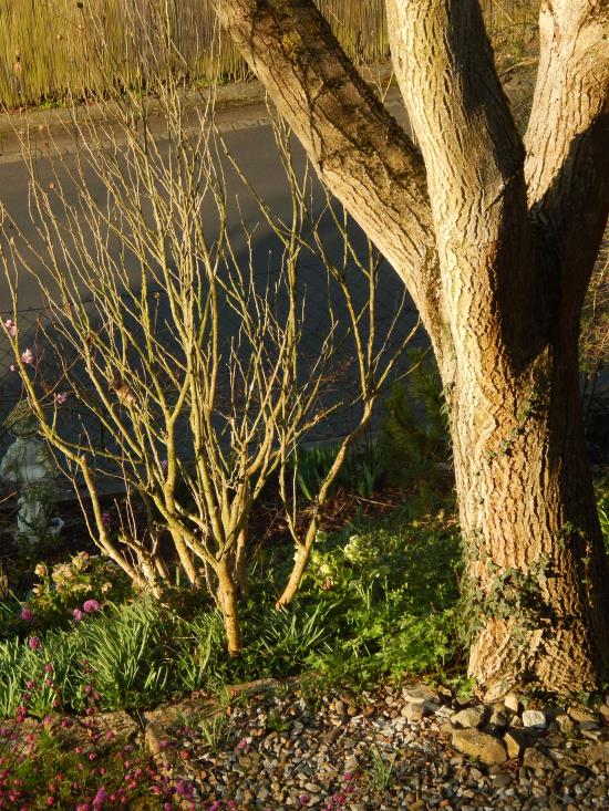 Licht und Schatten