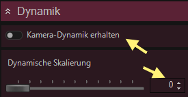 Dynamik