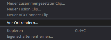 Vor Ort Rendern