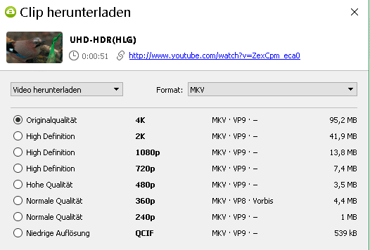 YT-Liste MKV