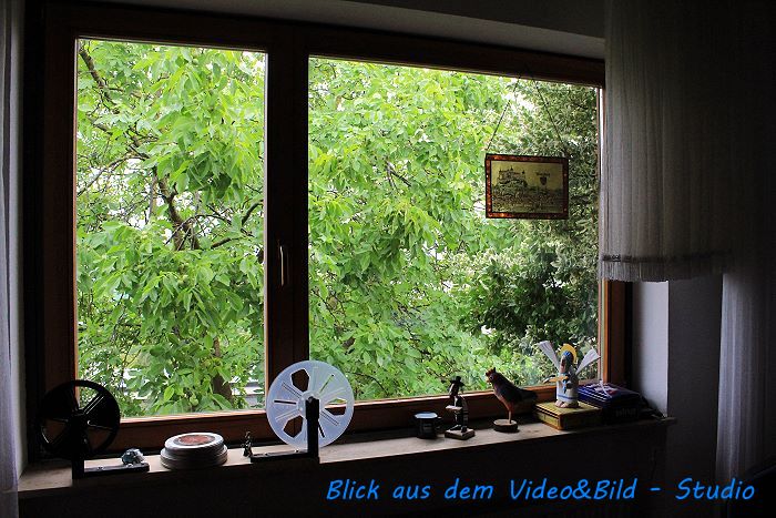 Fenster zum Nubaum