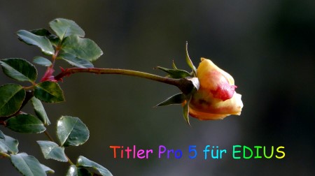 Titler Pro 5