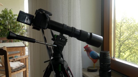 Vogelfotografie