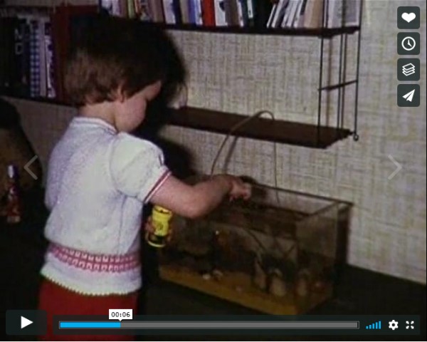 Super 8 als SD-Video